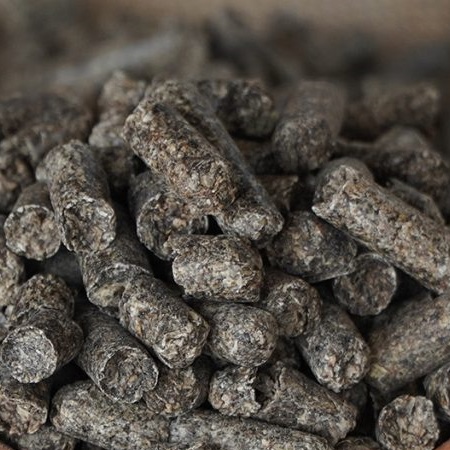 Fotoğraf bulunamadı