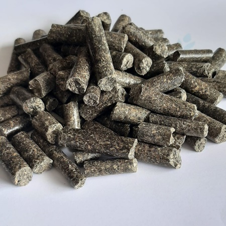 Fotoğraf bulunamadı